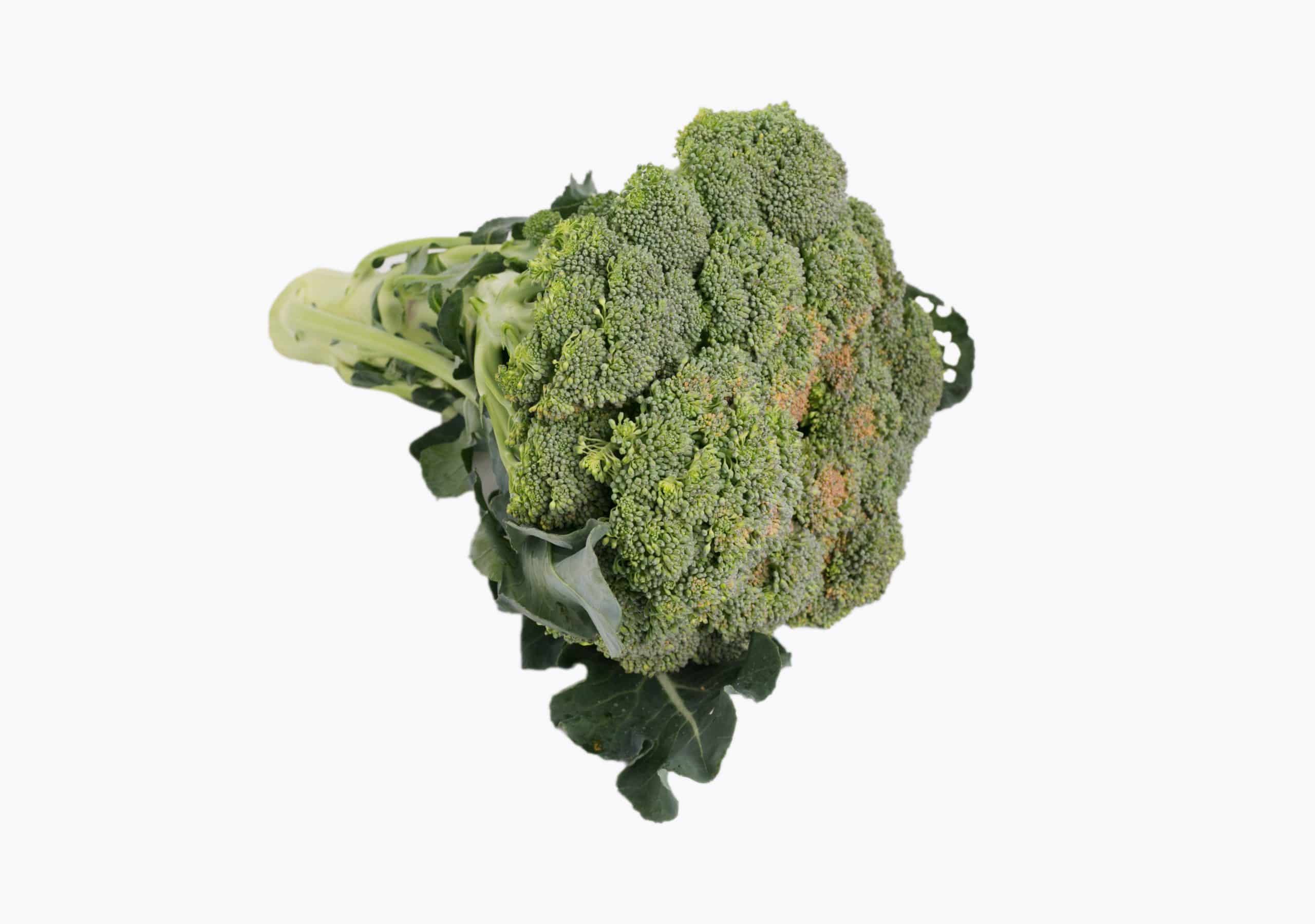 Broccoli-2-1.jpg