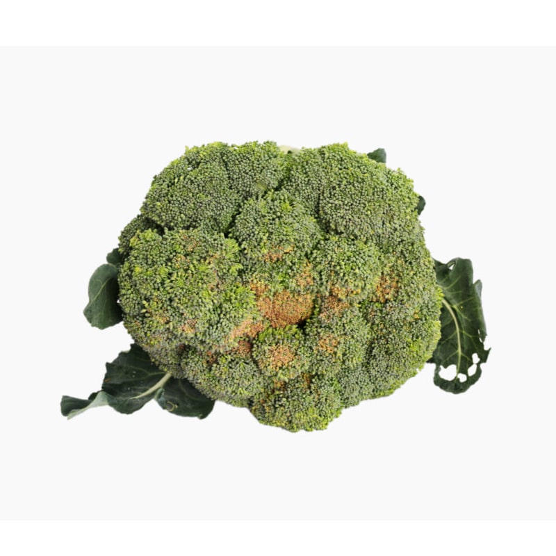 Broccoli1.jpg