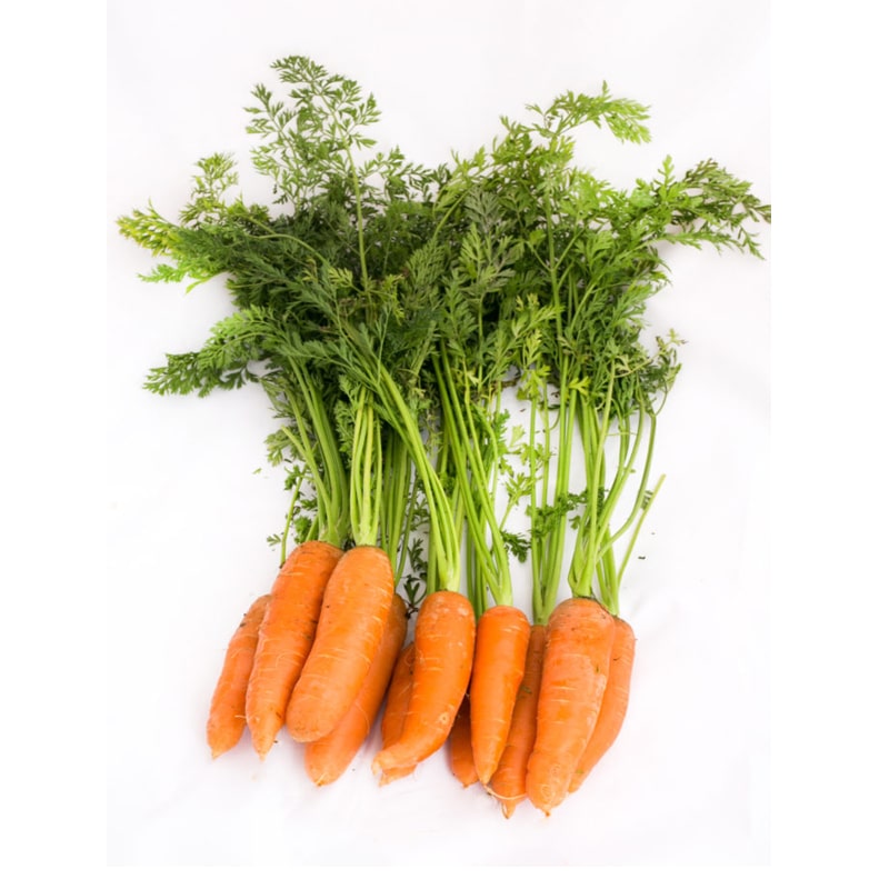 Carrot1.jpg
