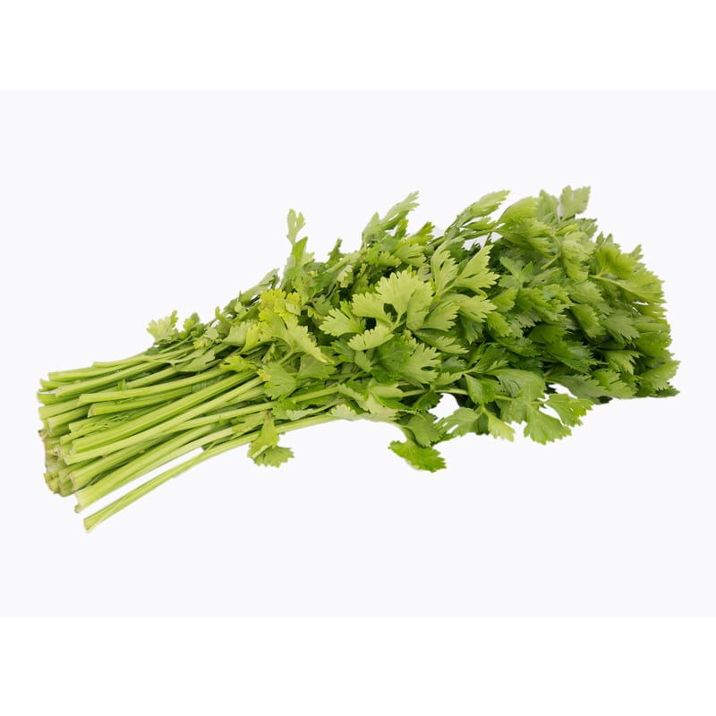 Celery1.jpg