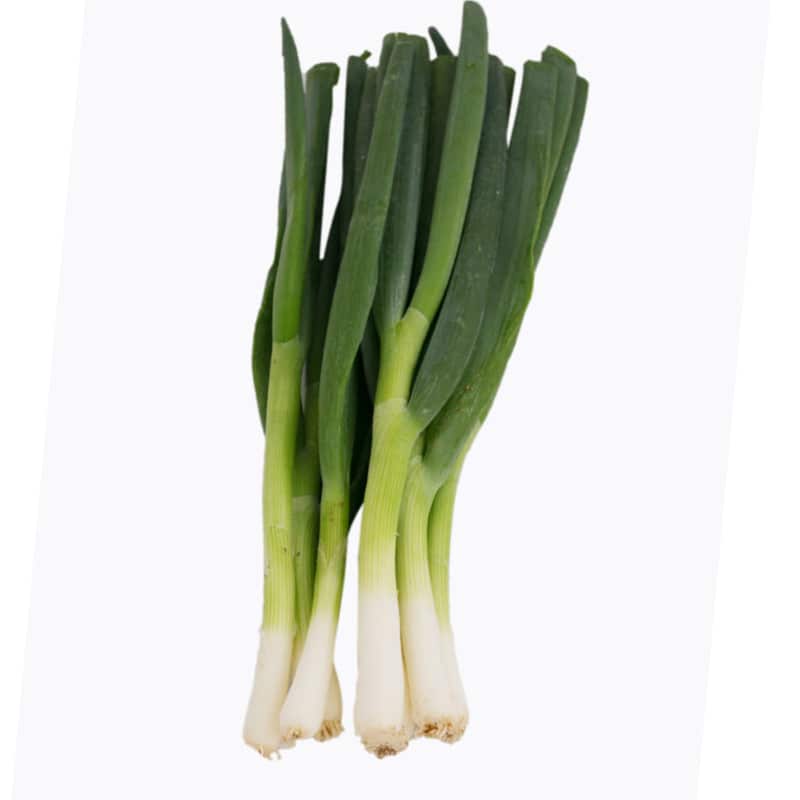 Garlic1green-onion1.jpg