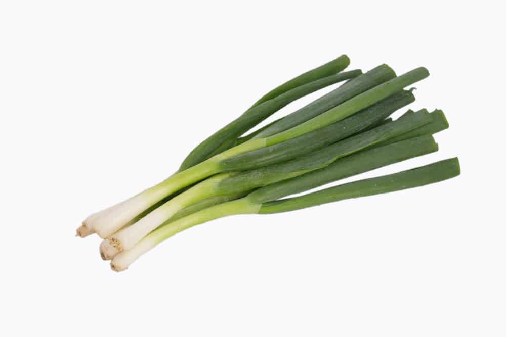 Green-Onion-2.jpg