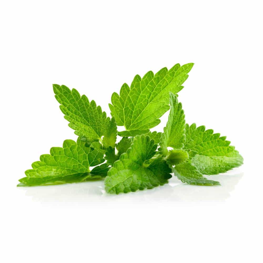 mint.jpg